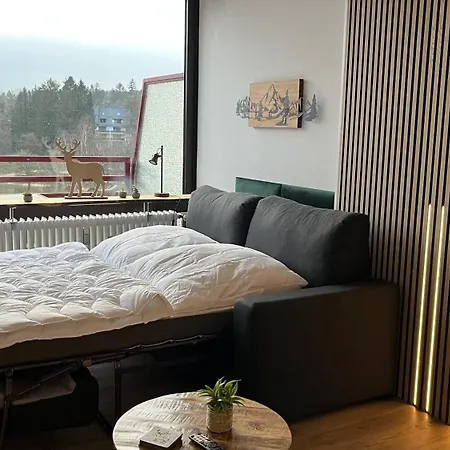 Panoramablick Hahnenklee Apartment Goslar