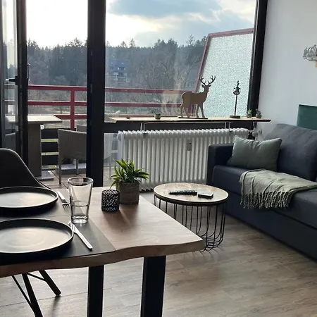 Panoramablick Hahnenklee Apartment *