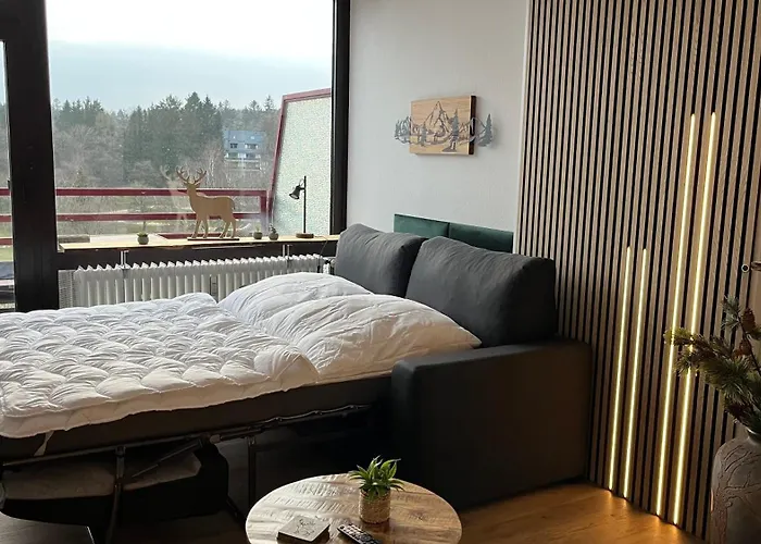 Panoramablick Hahnenklee Apartment Goslar
